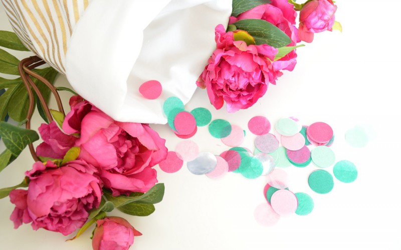 blog mariage union plan