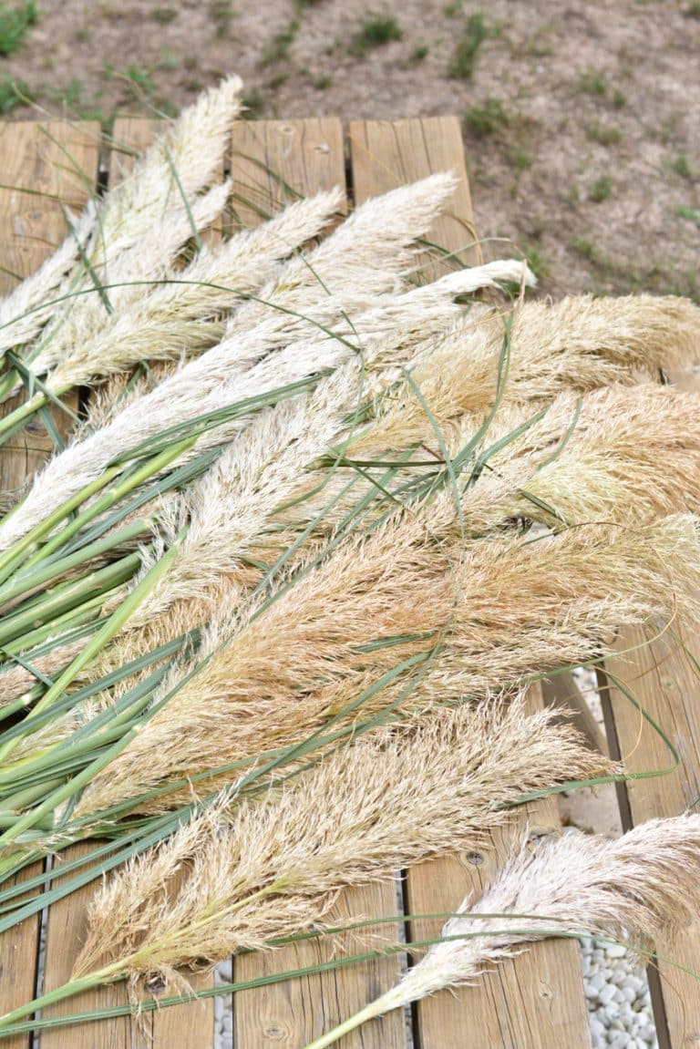 Diy D Corer Son Mariage Avec Des Suspensions En Herbes De Pampa A La Une