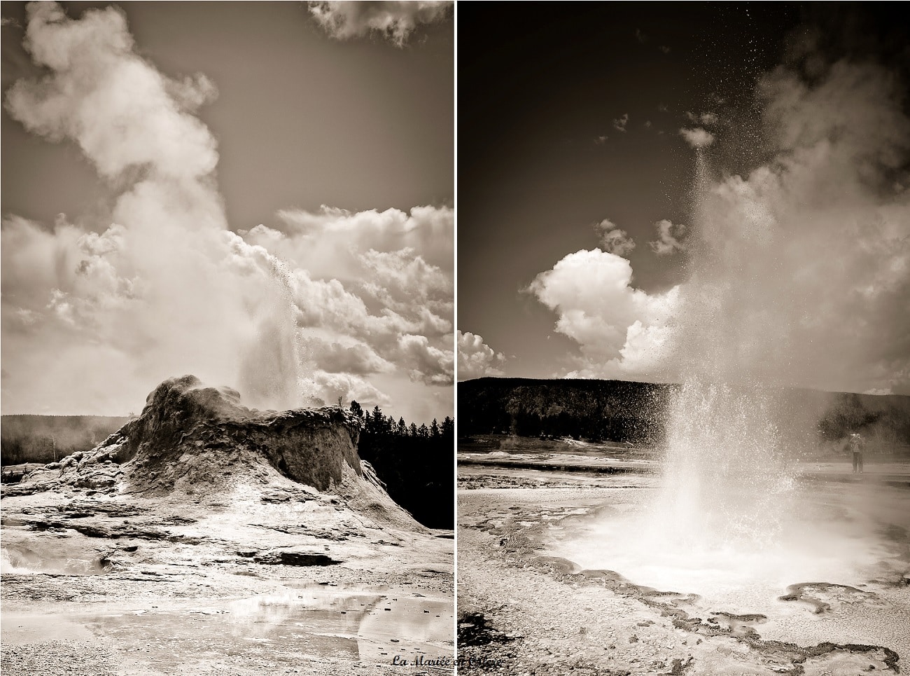 Voyage de Noce aux Etats-Unis : Yellowstone