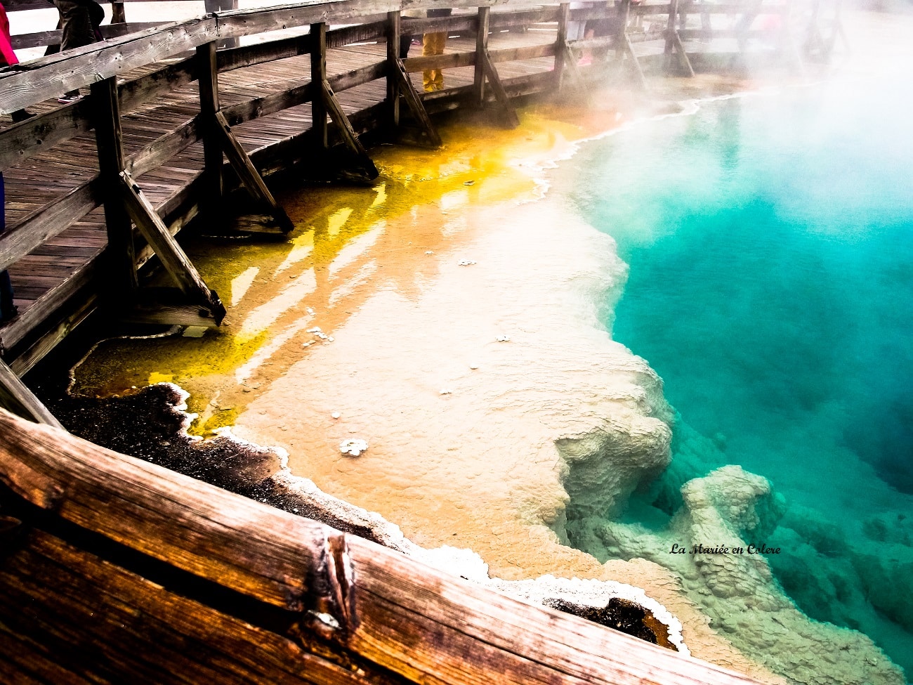 Voyage de Noce aux Etats-Unis : Yellowstone