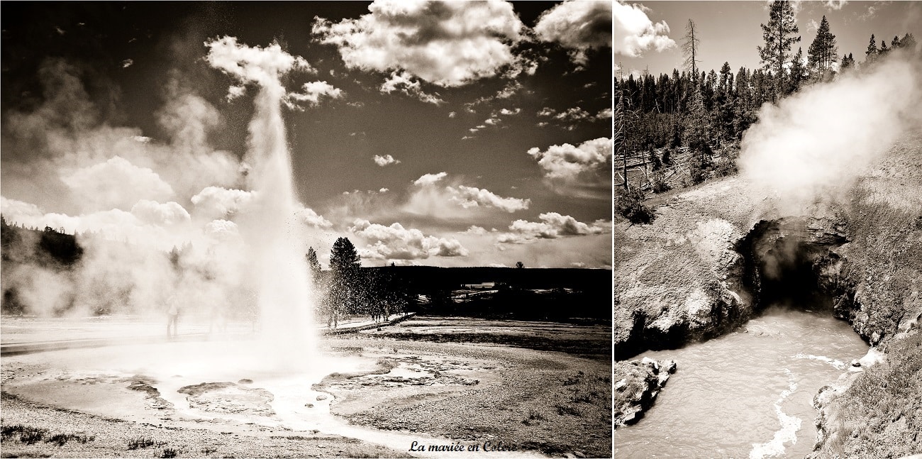 Voyage de Noce aux Etats-Unis : Yellowstone