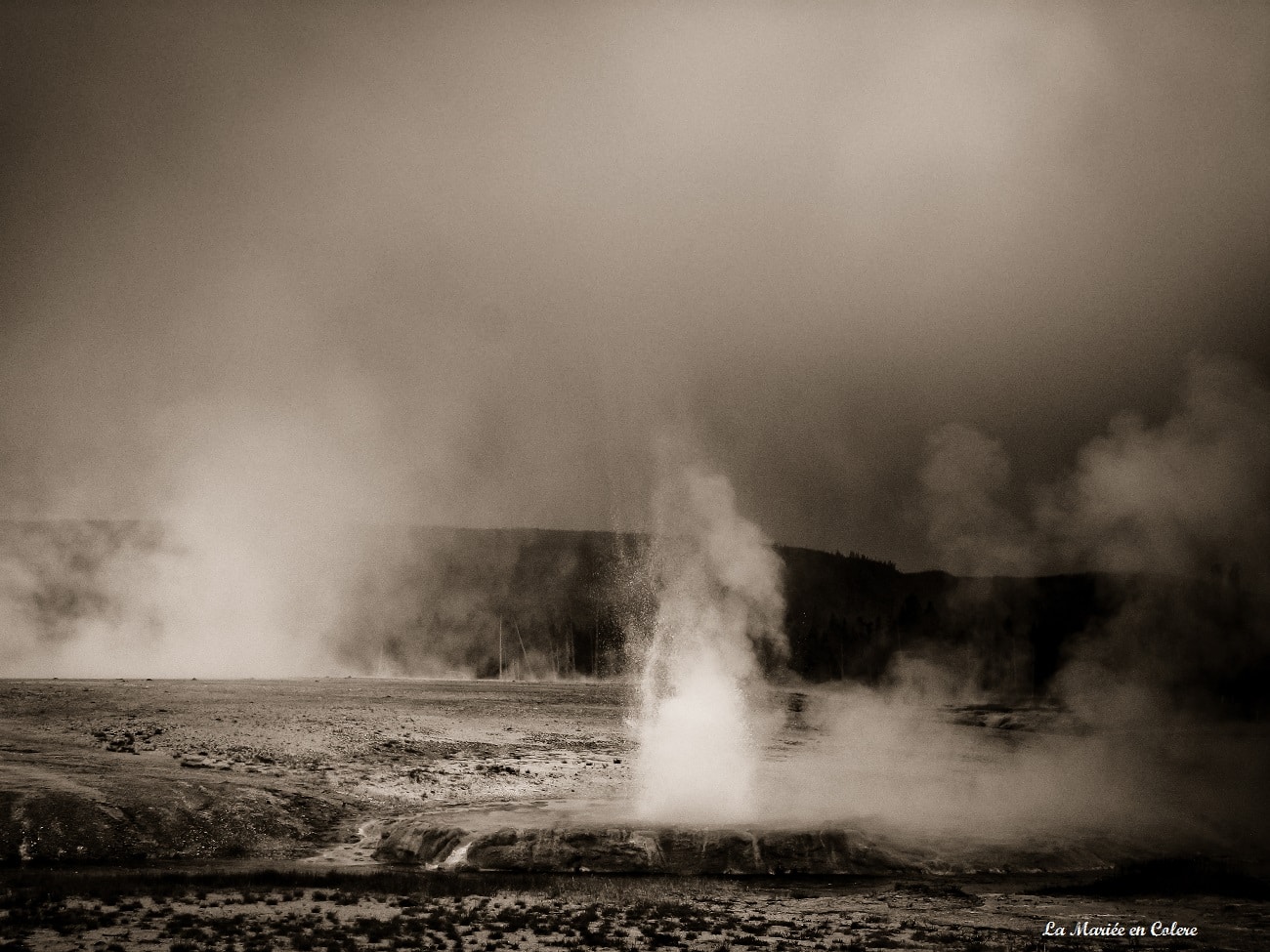 Voyage de Noce aux Etats-Unis : Yellowstone