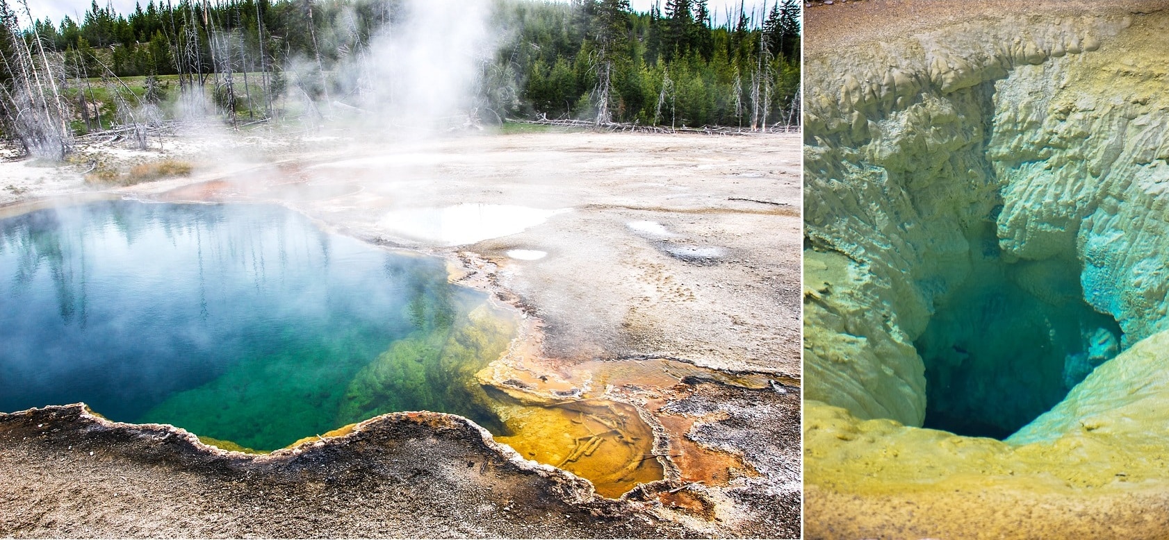 Voyage de Noce aux Etats-Unis : Yellowstone