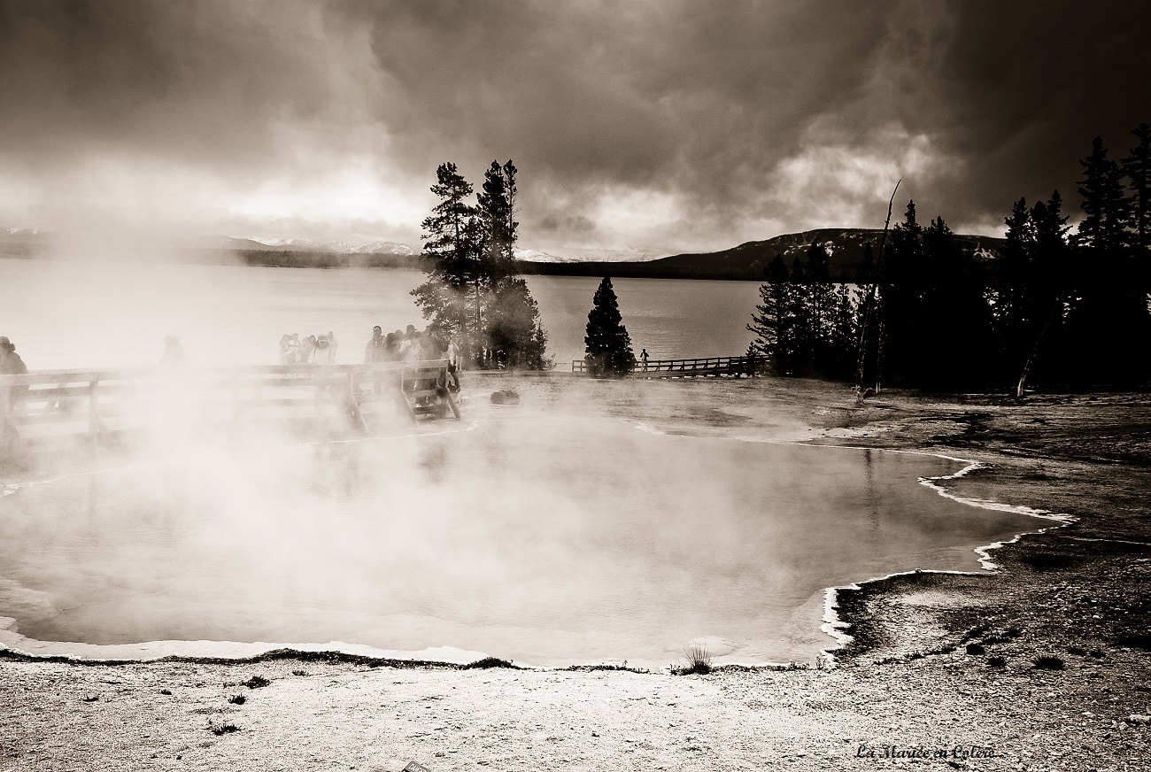 Voyage de Noce aux Etats-Unis : Yellowstone