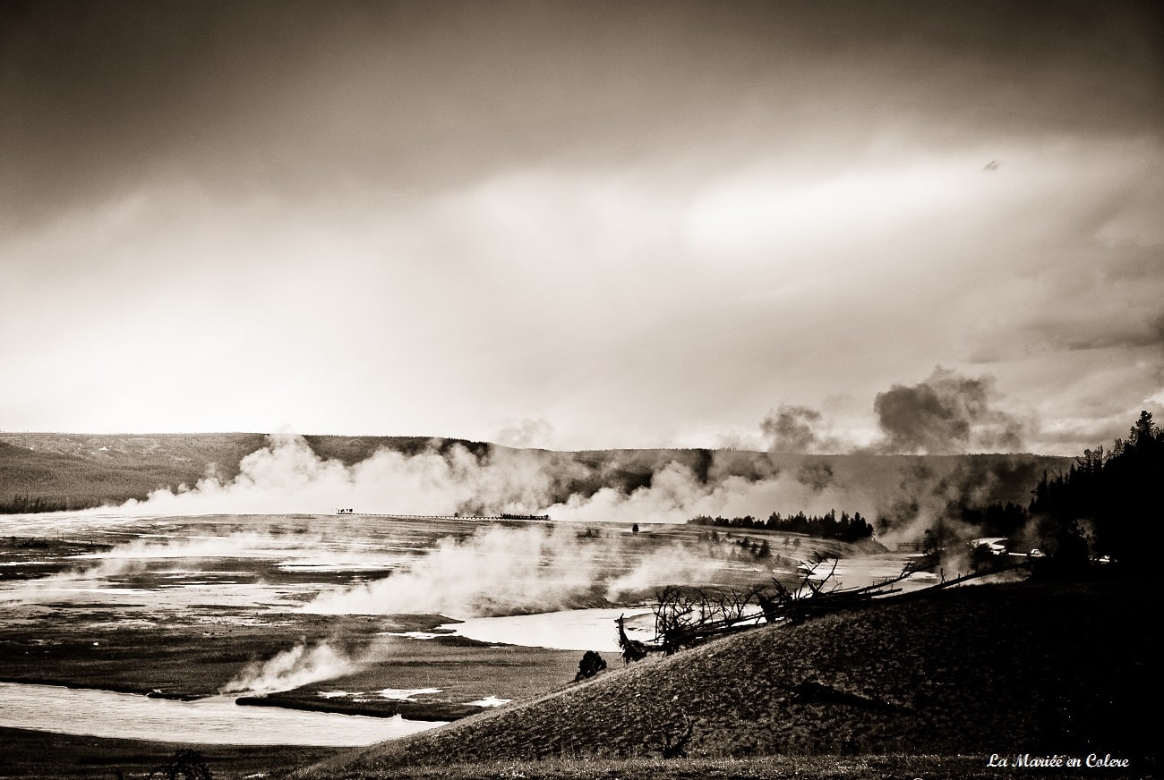 Voyage de Noce aux Etats-Unis : Yellowstone