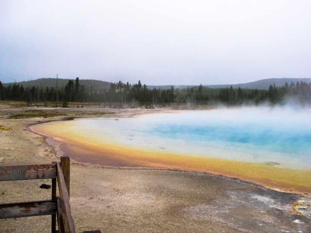 Voyage de Noce aux Etats-Unis : Yellowstone