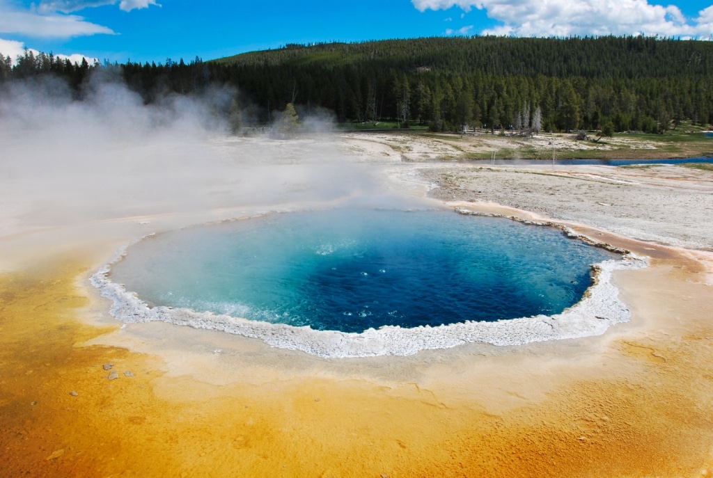 Voyage de Noce aux Etats-Unis : Yellowstone