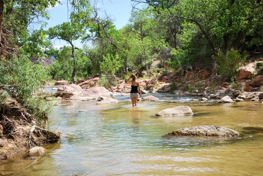 Zion National Park 2