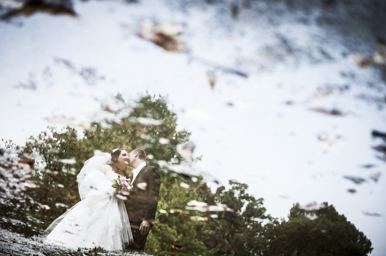 Mariage vin & vendanges