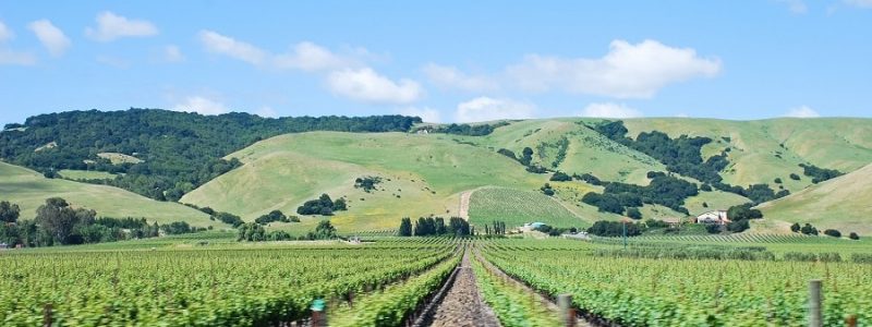 wine country californie