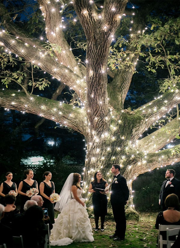 décoration-mariage-guirlandes-lumière-arbre-nuit
