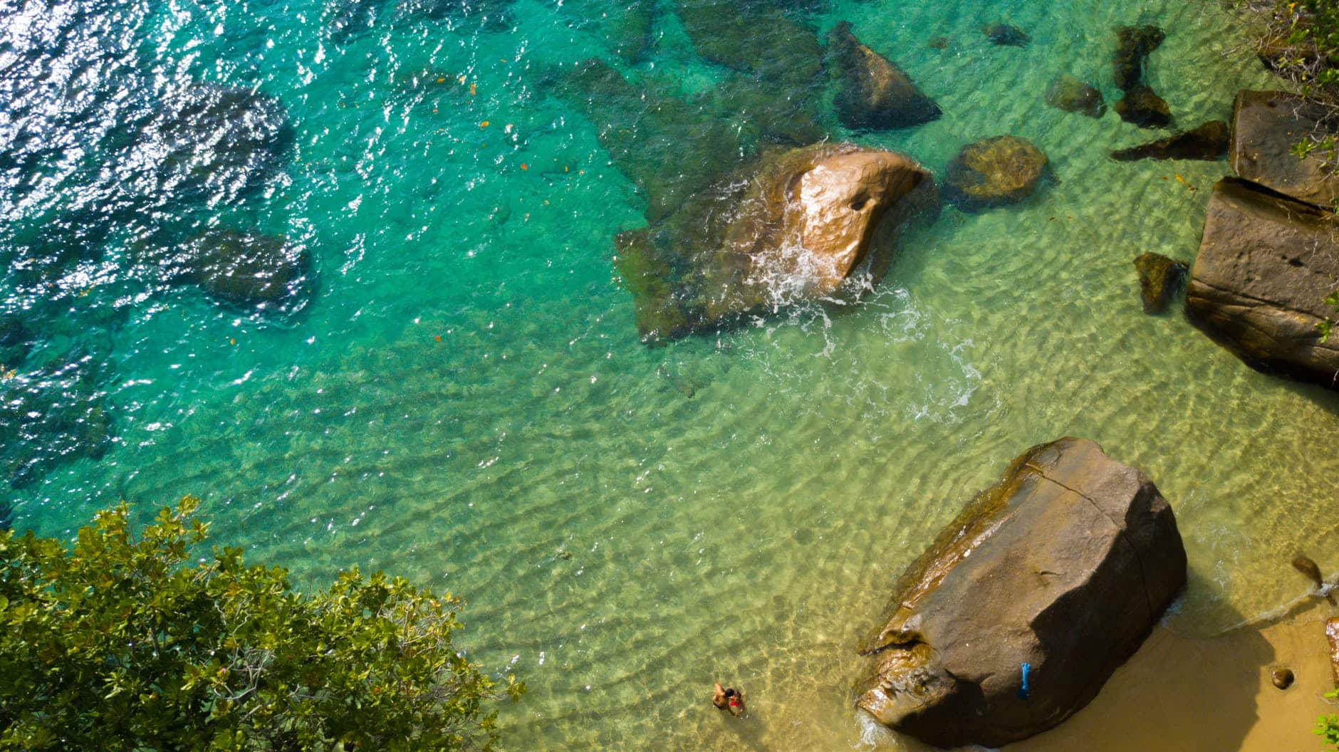 bird s eye view of seashore during daytime