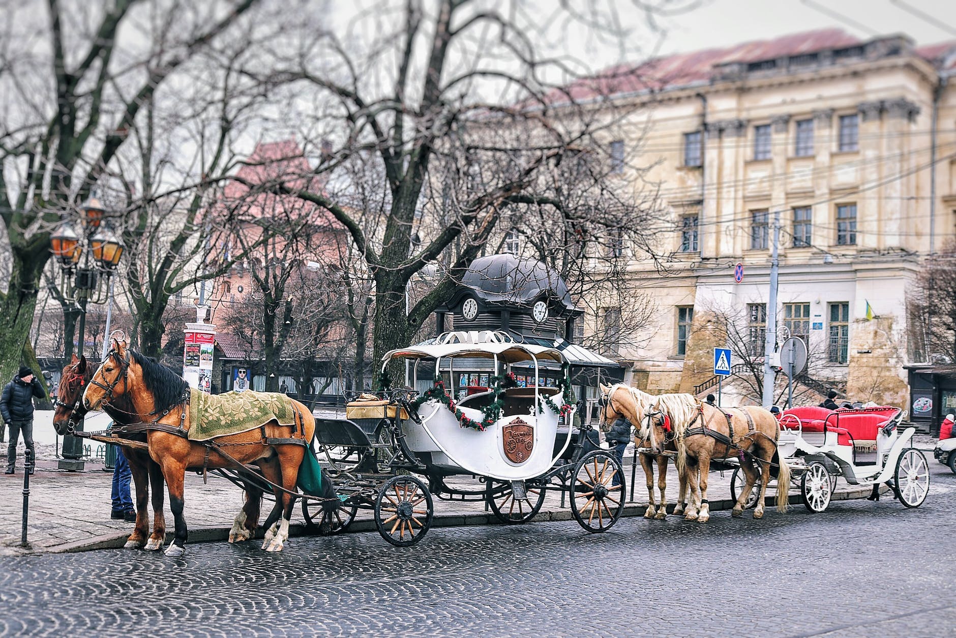 brown horses with carriage near building