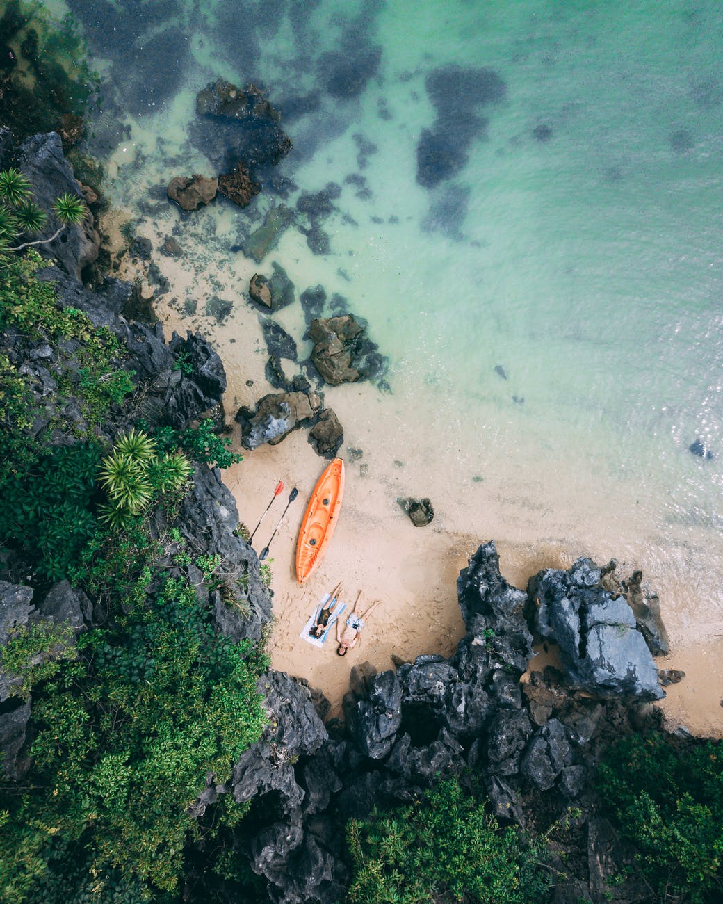aerial view of people on beach
