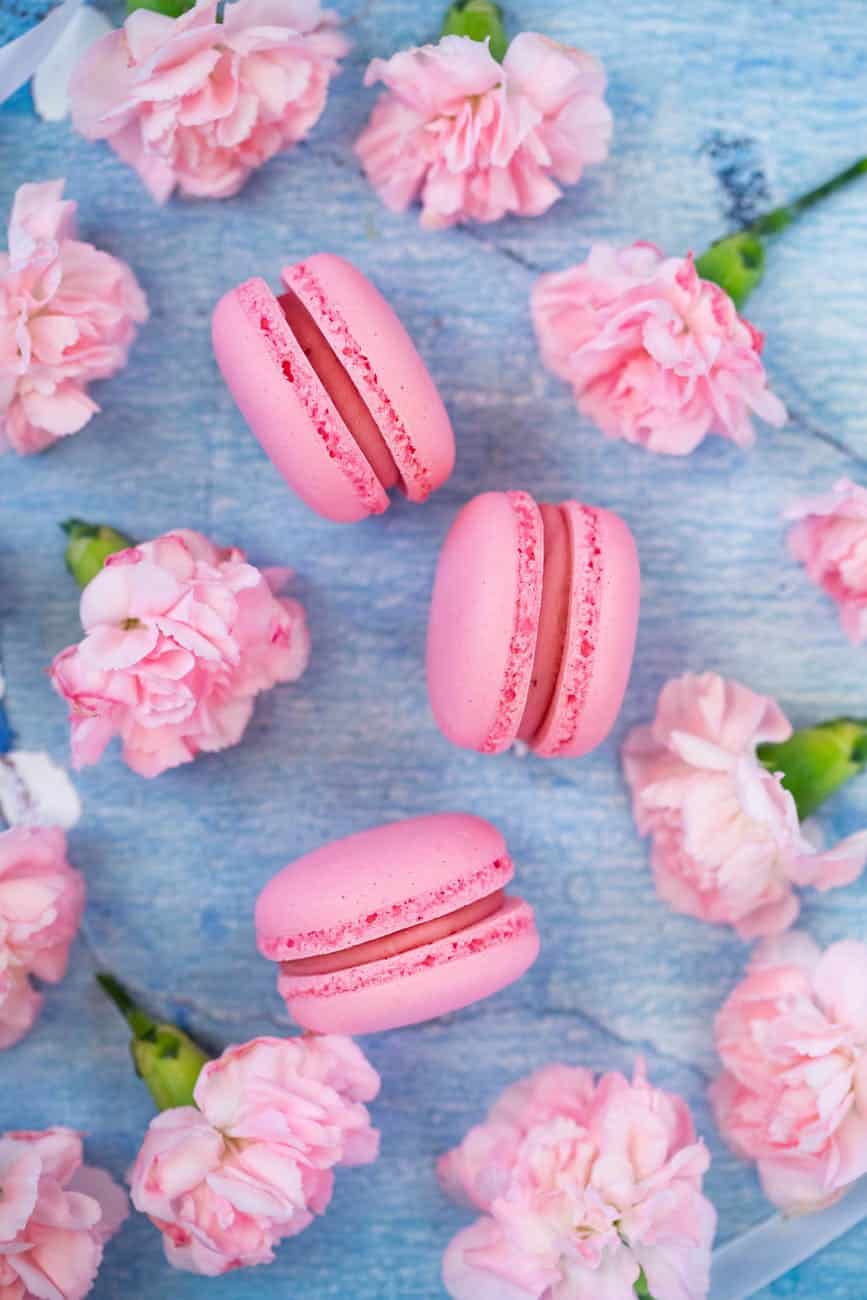 pink macaroons placed among carnations on table