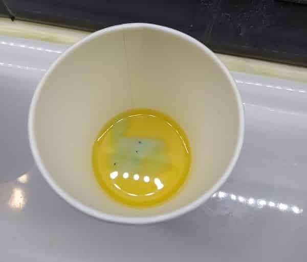 test de grossesse maison changement couleur dentifrice urines