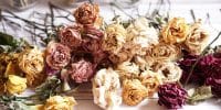 3 raisons de choisir un bouquet de mariée en fleurs séchées