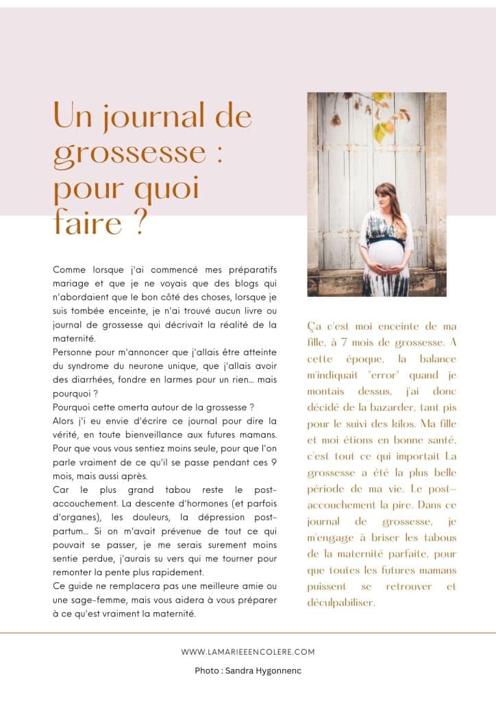 Journal de grossesse PDF Pregnancy planner - Suivi grossesse