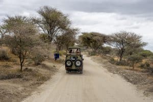 organisation voyage de noces safari