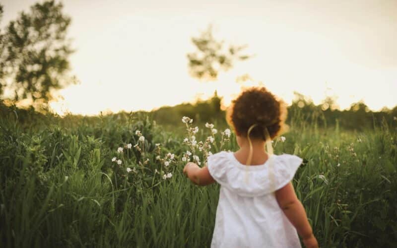 Les poux : comment traiter le fléau de tous parents !