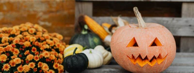 Décoration d’Halloween : faites frissonner vos invités !